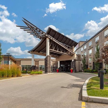 Best Western Plus Edmonton Airport Hotel Ледюк Екстериор снимка